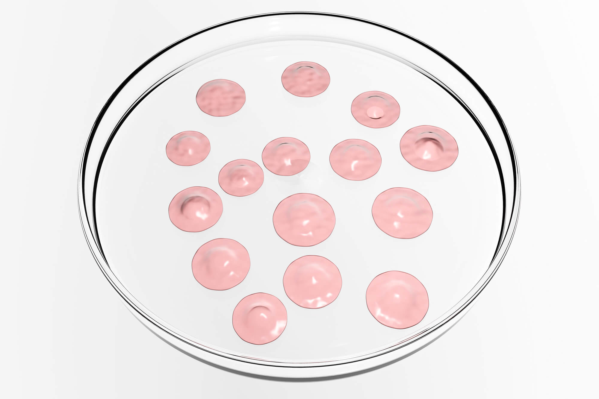 what is stem cell therapy in a dish