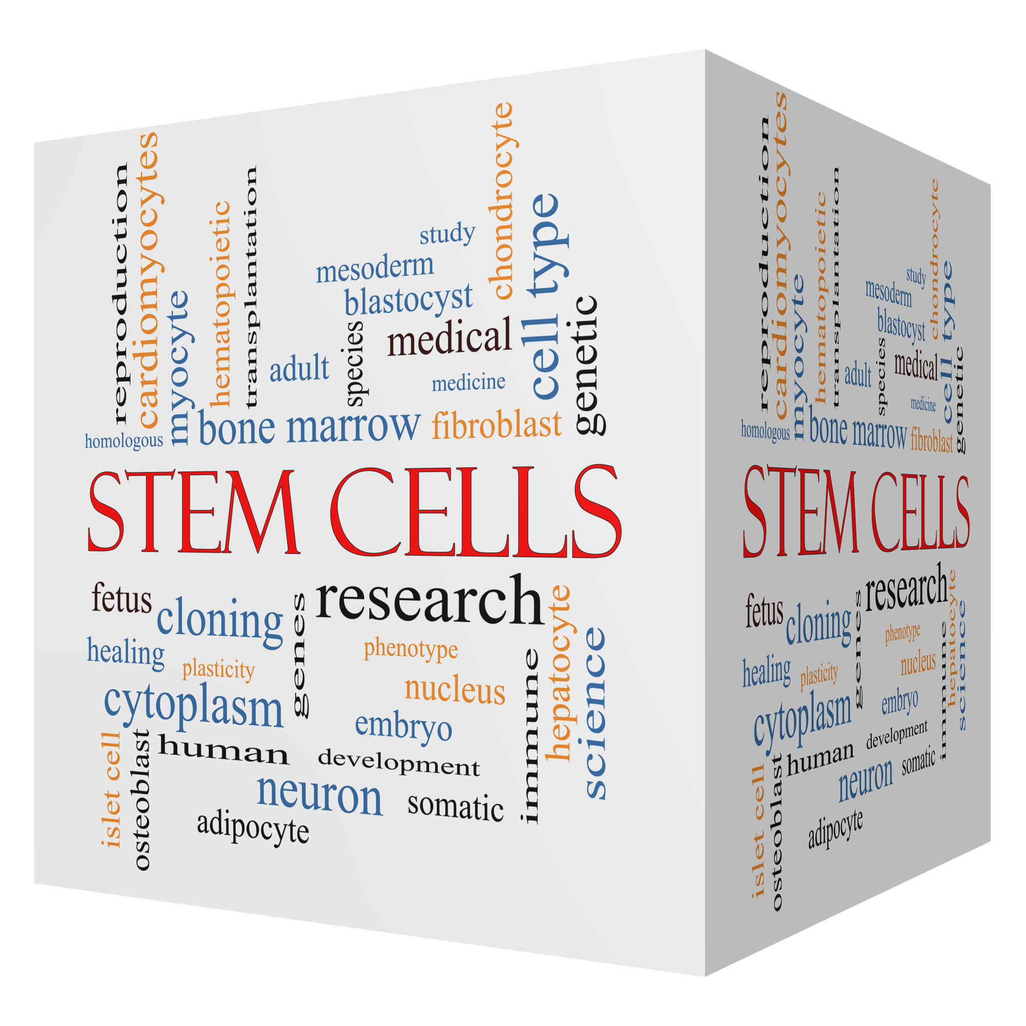 Stem Cell doctors Franklin print on 3D cube